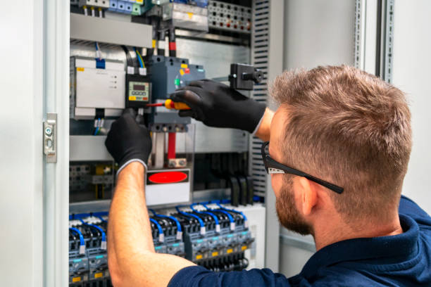 Best Electrical Upgrades for Homes  in Luverne, MN